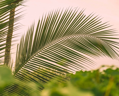 Bisma Eight Hotel Bali Ubud